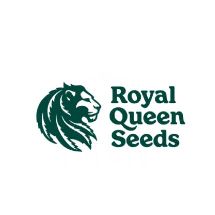 Royal Queen Seeds