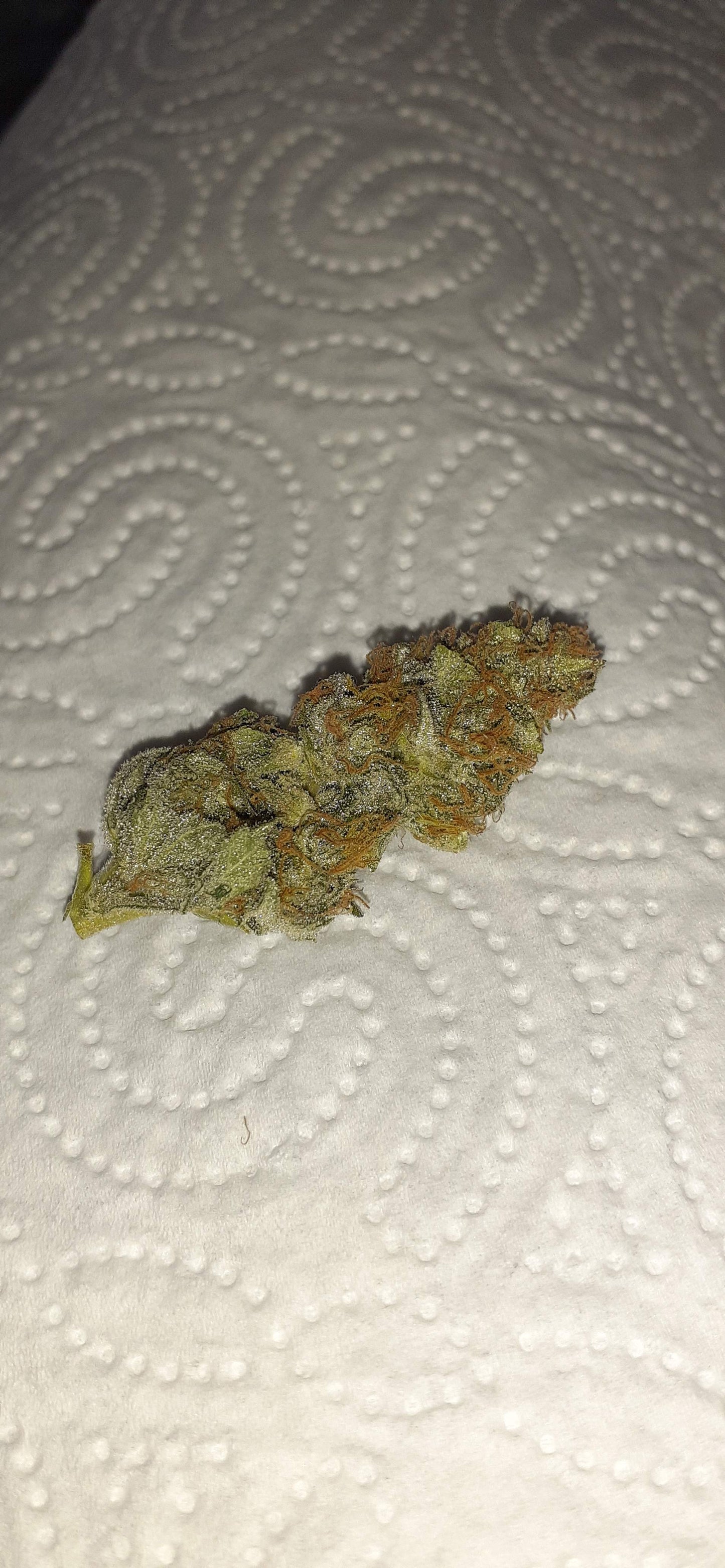 Sweet Skunk Auto. Royal Quean Seeds