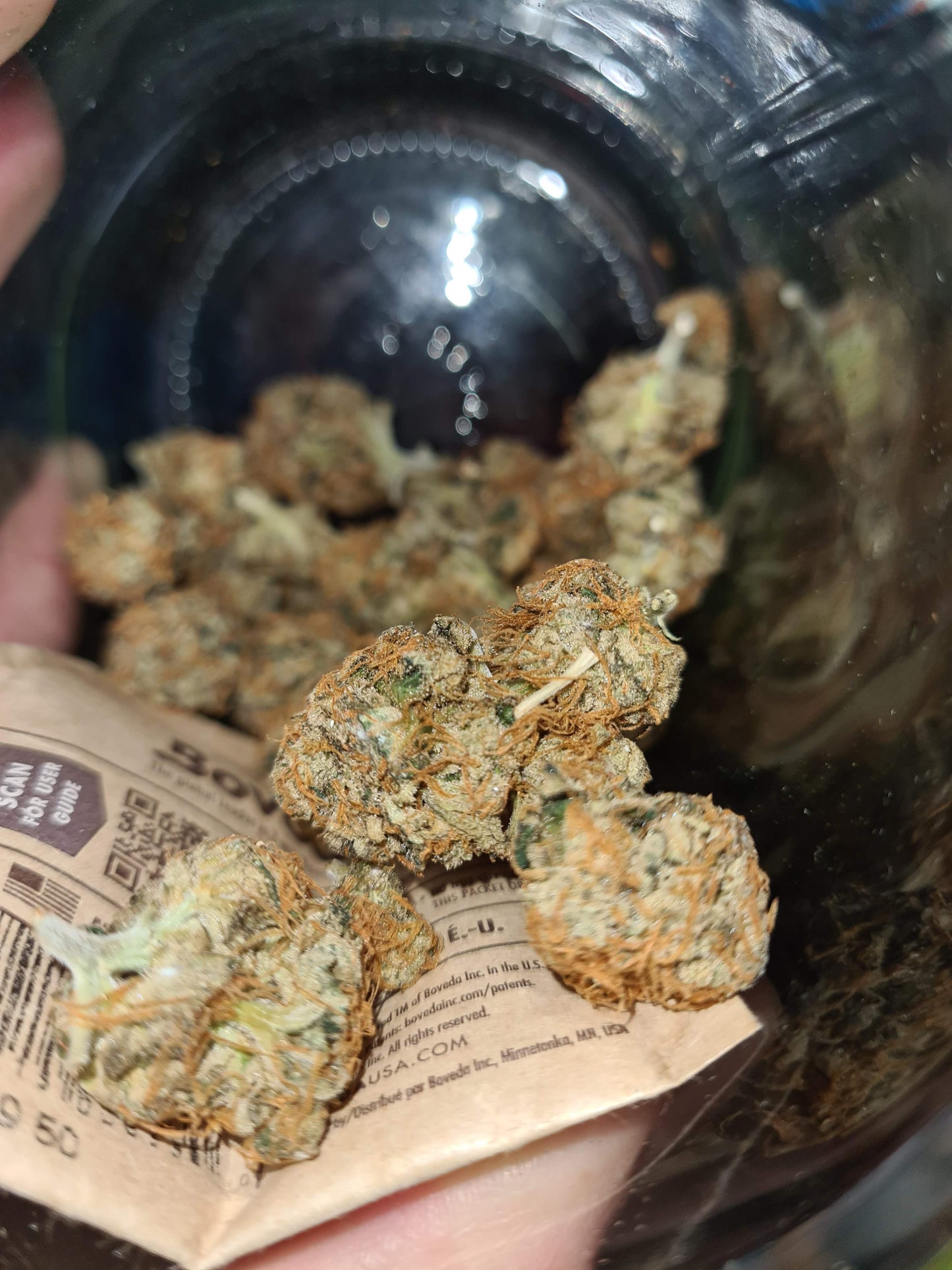 Bubblegum XL fem. Royal Queen Seeds