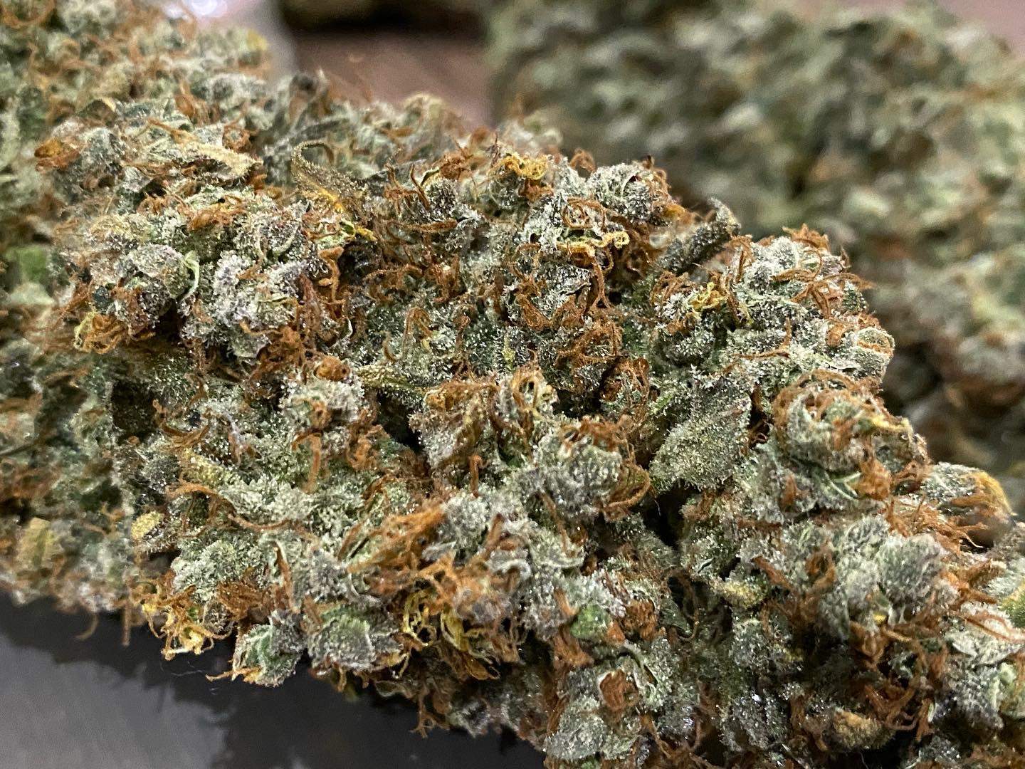 Big Bud .Fem Sensi Seeds