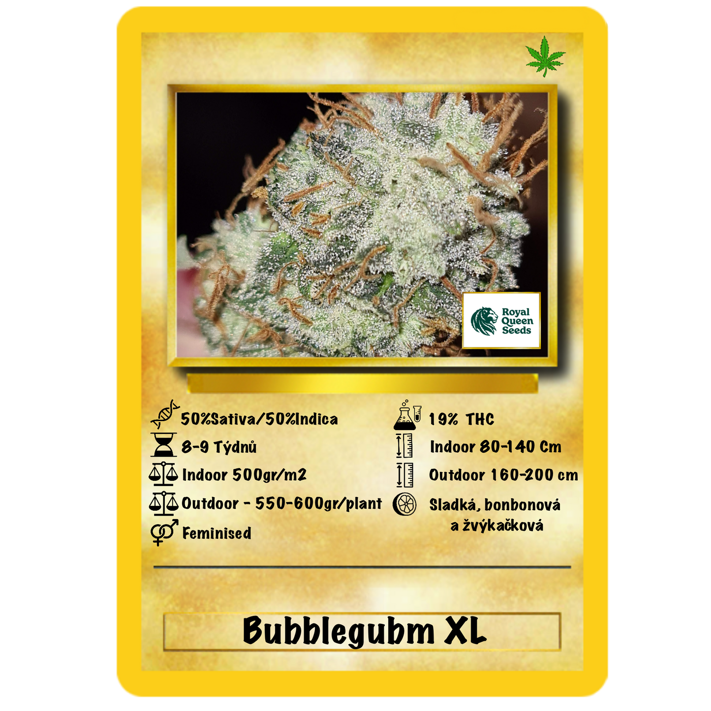Bubblegum XL fem. Royal Queen Seeds