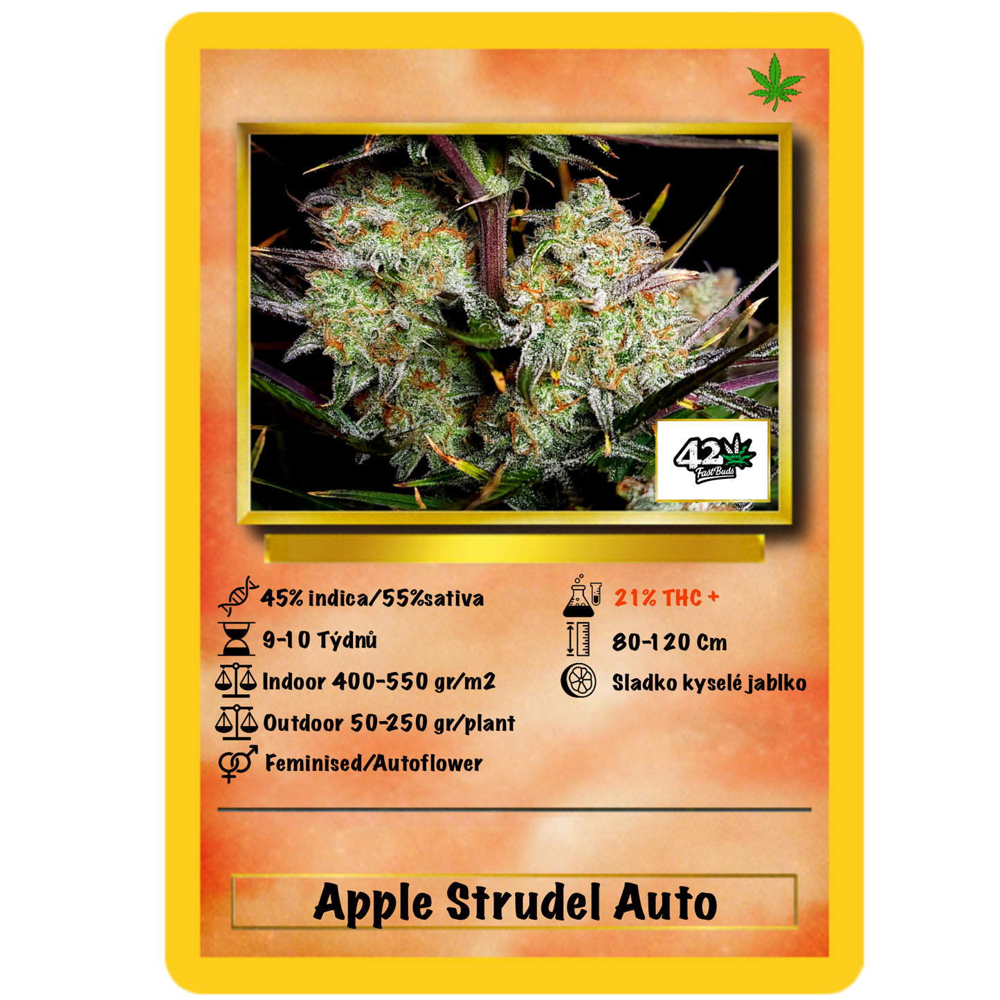 Apple Strudel Auto. Fast Buds Genetics