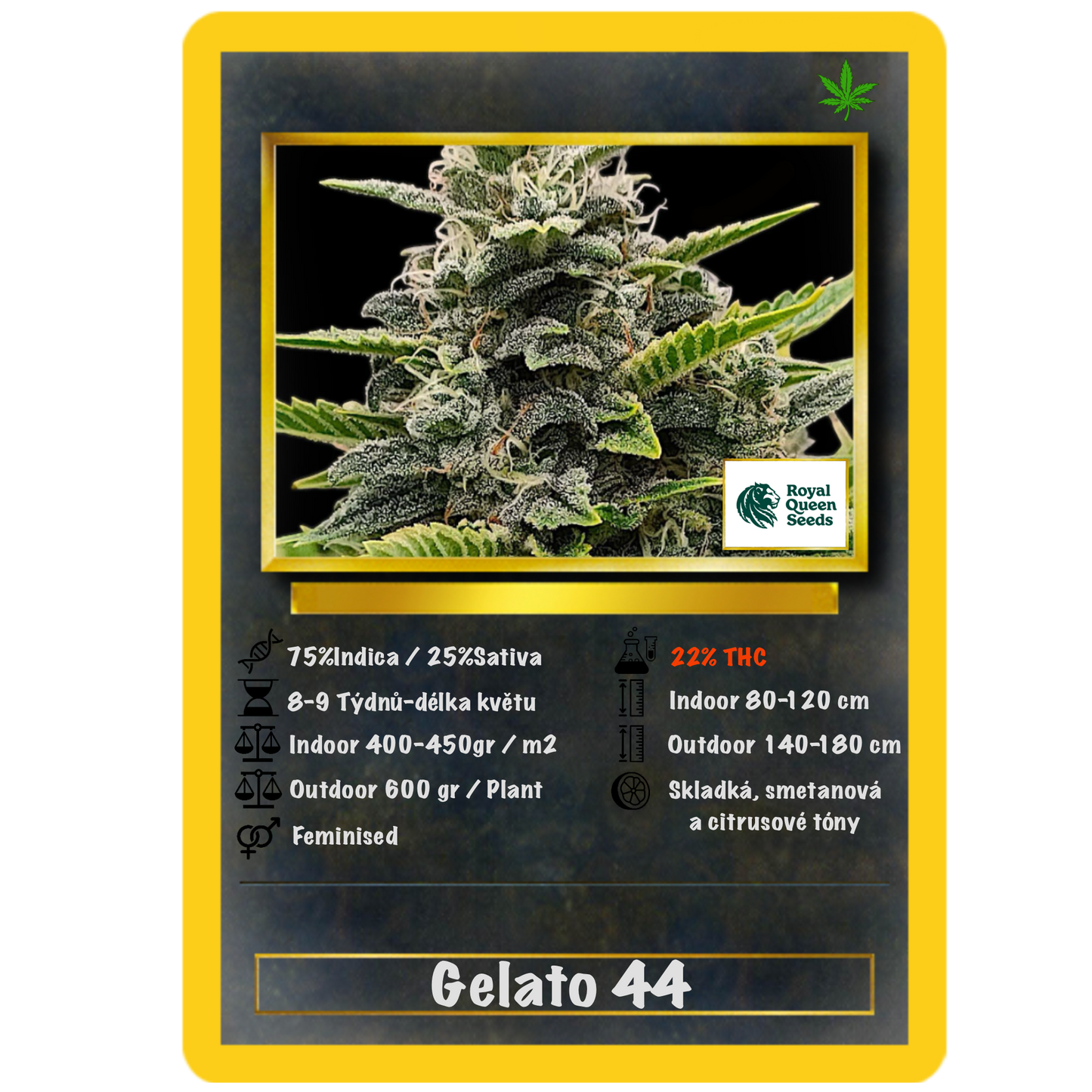 Gelato 44 .Fem Royal Quean Seeds