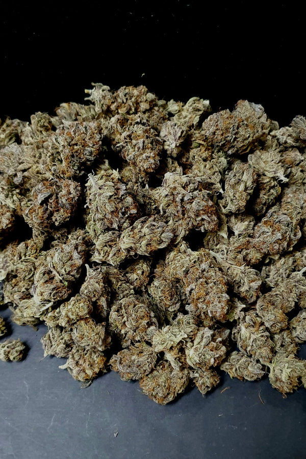 Gorilla Cookies .Fast&Fem Fast Buds Genetics