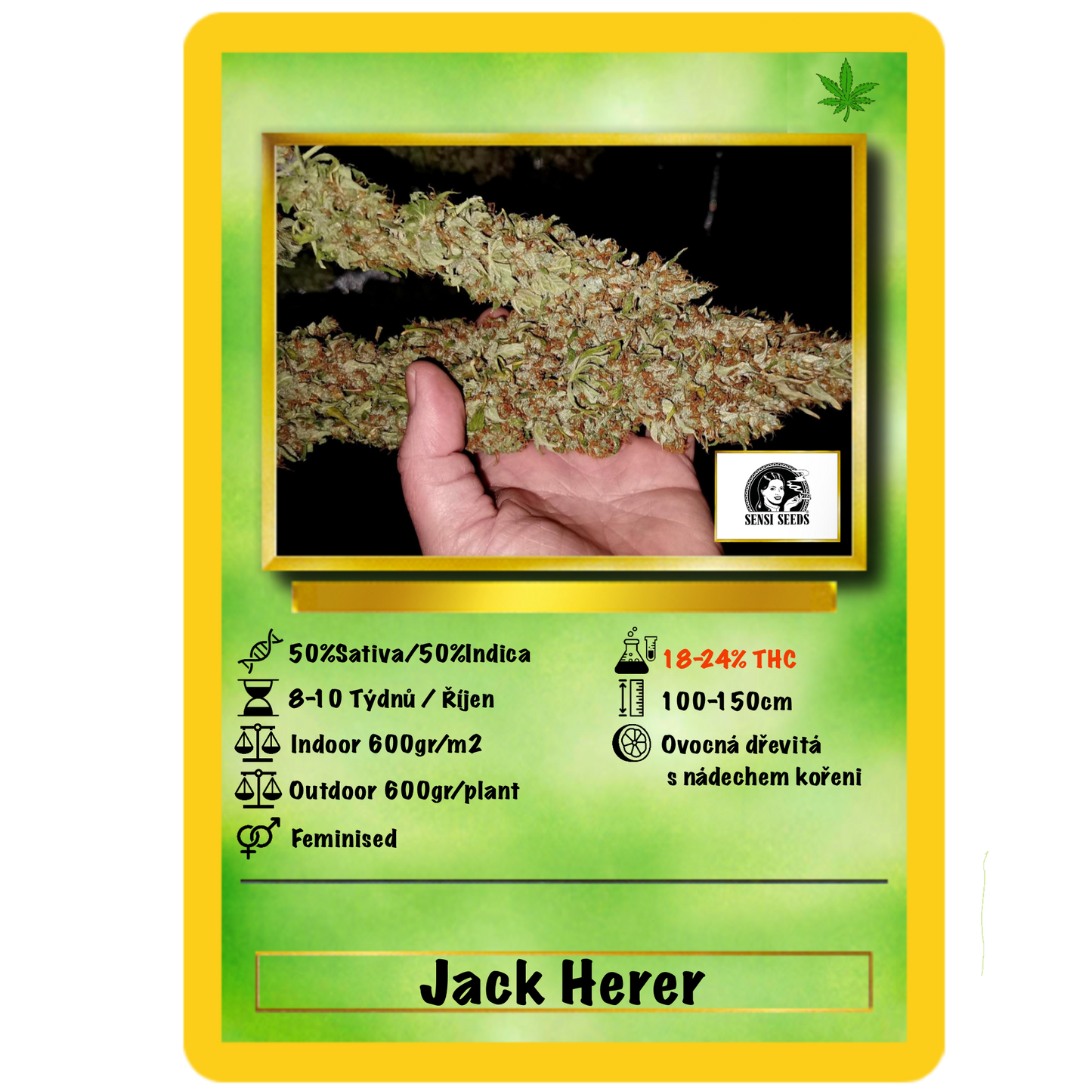 Jack Herer Fem. Sensi Seeds