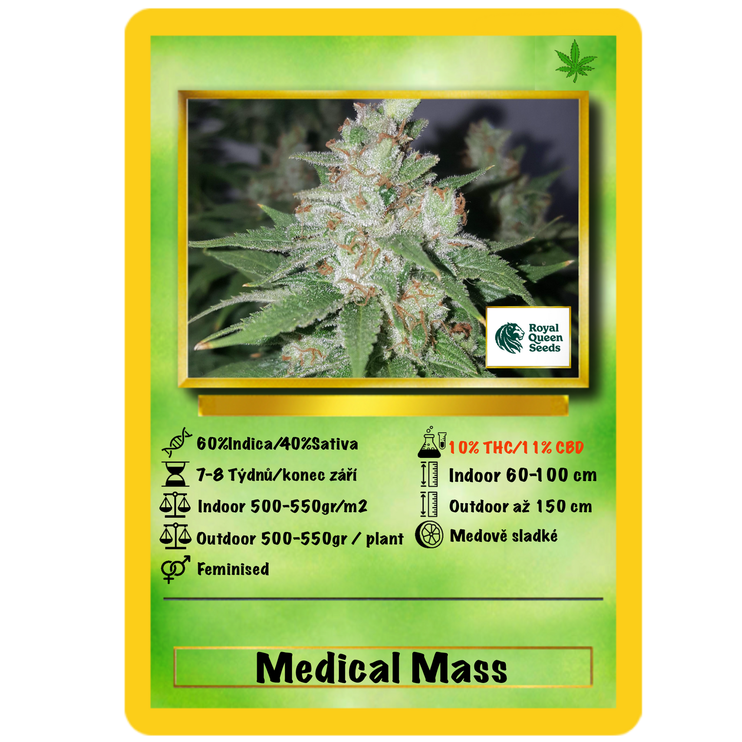 Medical Mass .Fem Royal Quean Seeds