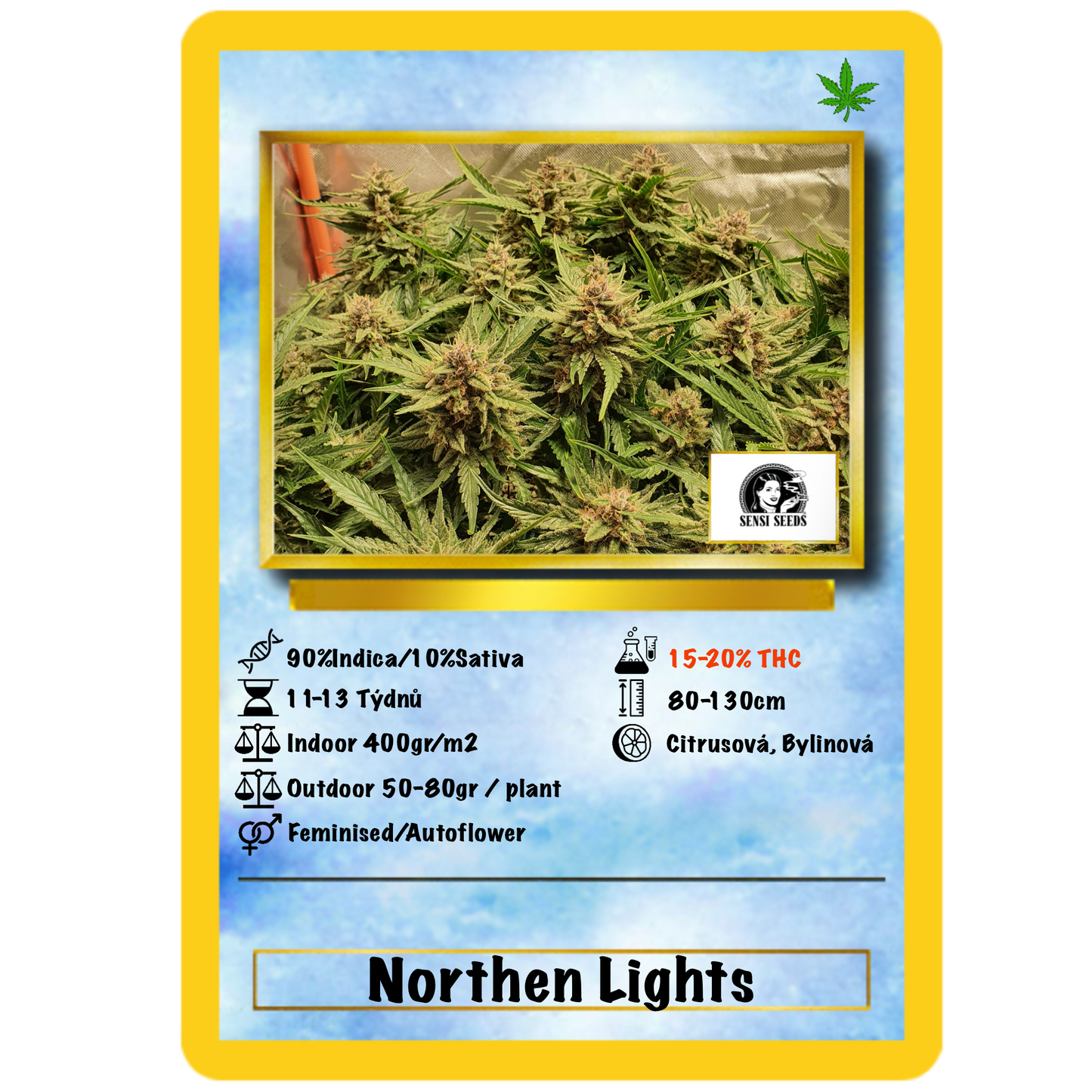 Northern Lights .Auto Sensi Seeds