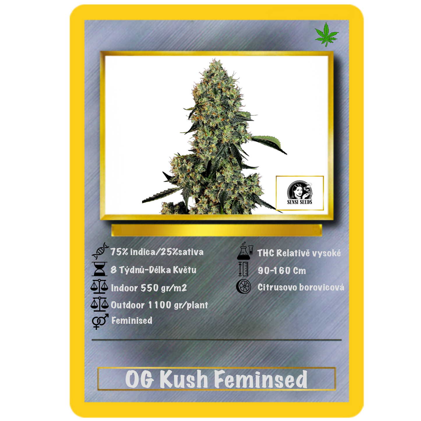 OG Kush Fem. Sensi Seeds