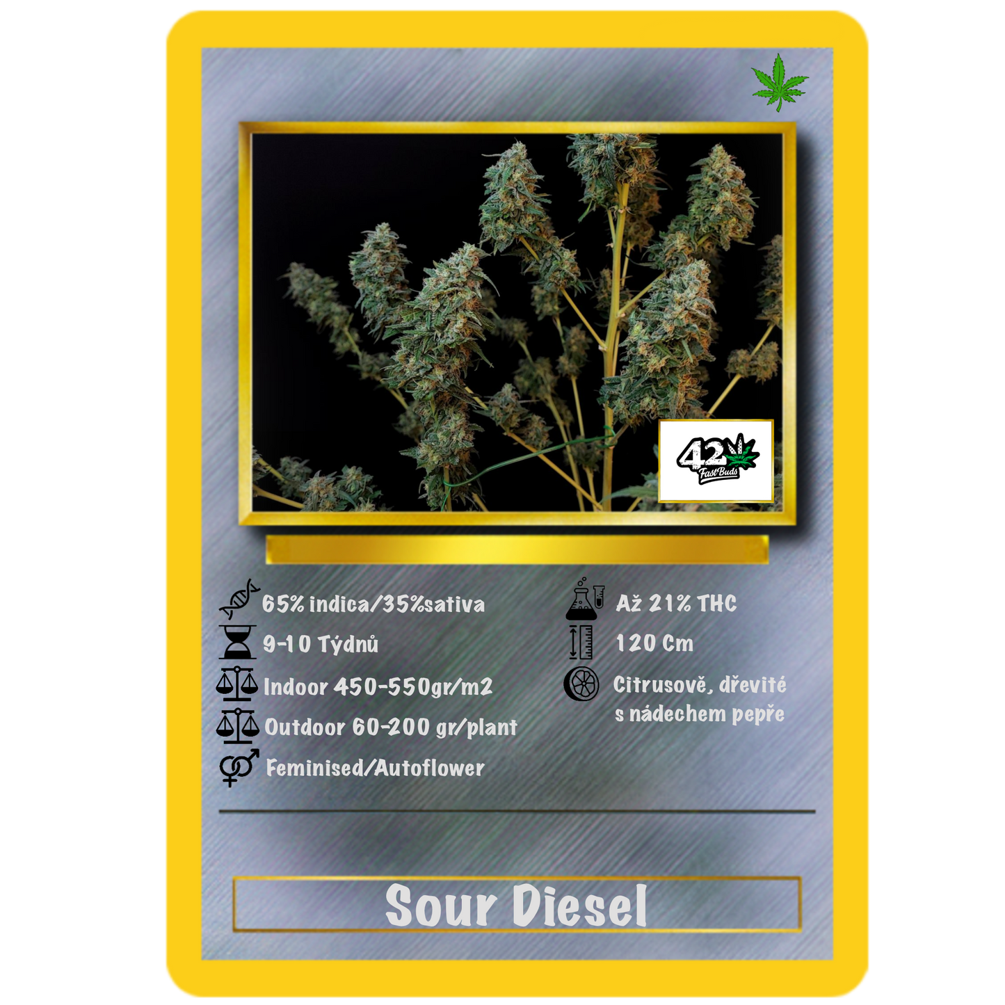Sour Diesel Auto. Fast Buds Genetics