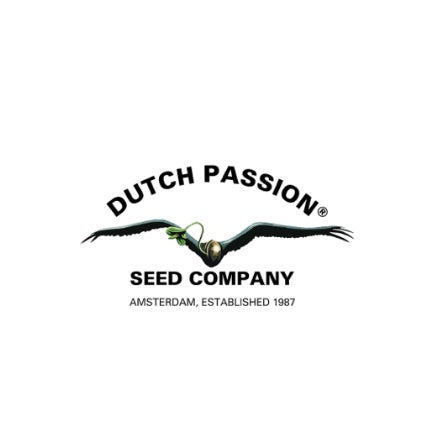 Dutch Passion