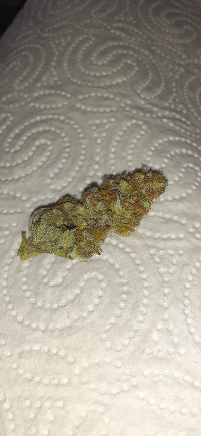 Sweet Skunk Auto. Royal Quean Seeds