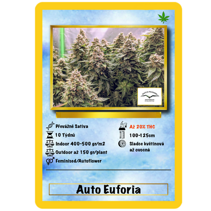 Euforie Auto. Dutch Passion