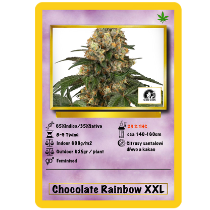 Chocolate Rainbow XXL Fem.Sensi Seeds