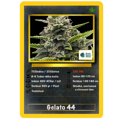 Gelato 44 .Fem Royal Quean Seeds