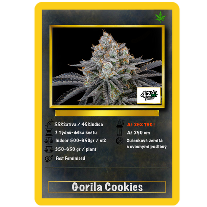 Gorilla Cookies .Fast&Fem Fast Buds Genetics