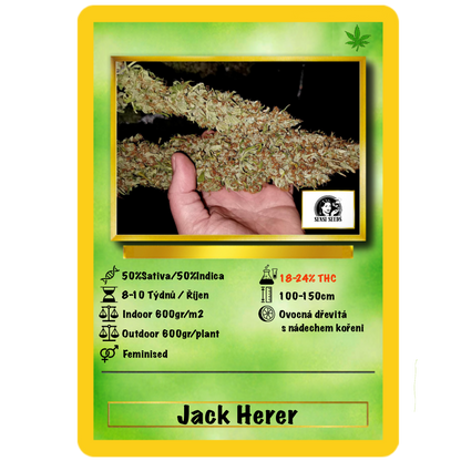 Jack Herer Fem. Sensi Seeds