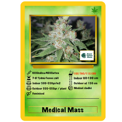 Medical Mass .Fem Royal Quean Seeds