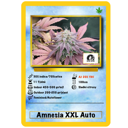 Sensi Amnesia XXL Auto. Sensi Seeds