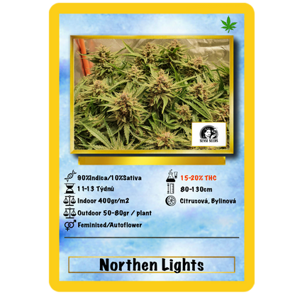 Northern Lights .Auto Sensi Seeds