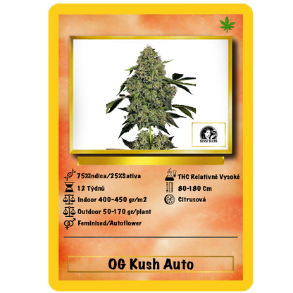 OG Kush Auto. Sensi Seeds