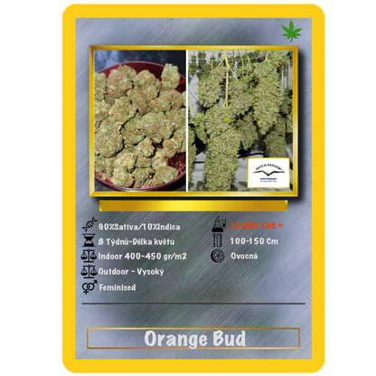 Orange Bud Fem. Dutch Passion