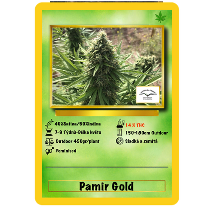 Pamir Gold .Fem Dutch Passion
