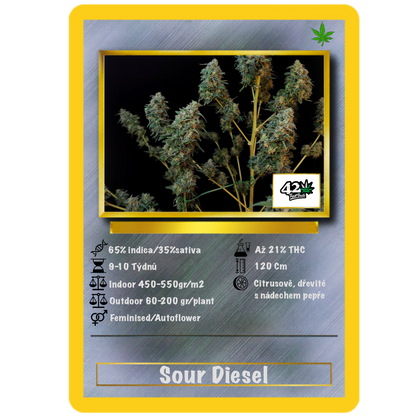 Sour Diesel Auto. Fast Buds Genetics
