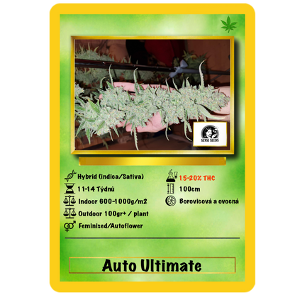 Auto Ultimate Auto. Dutch Passion