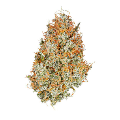 Amnesia Haze Auto. Royal Queen Seeds