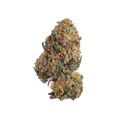 Bubblegum XL fem. Royal Queen Seeds